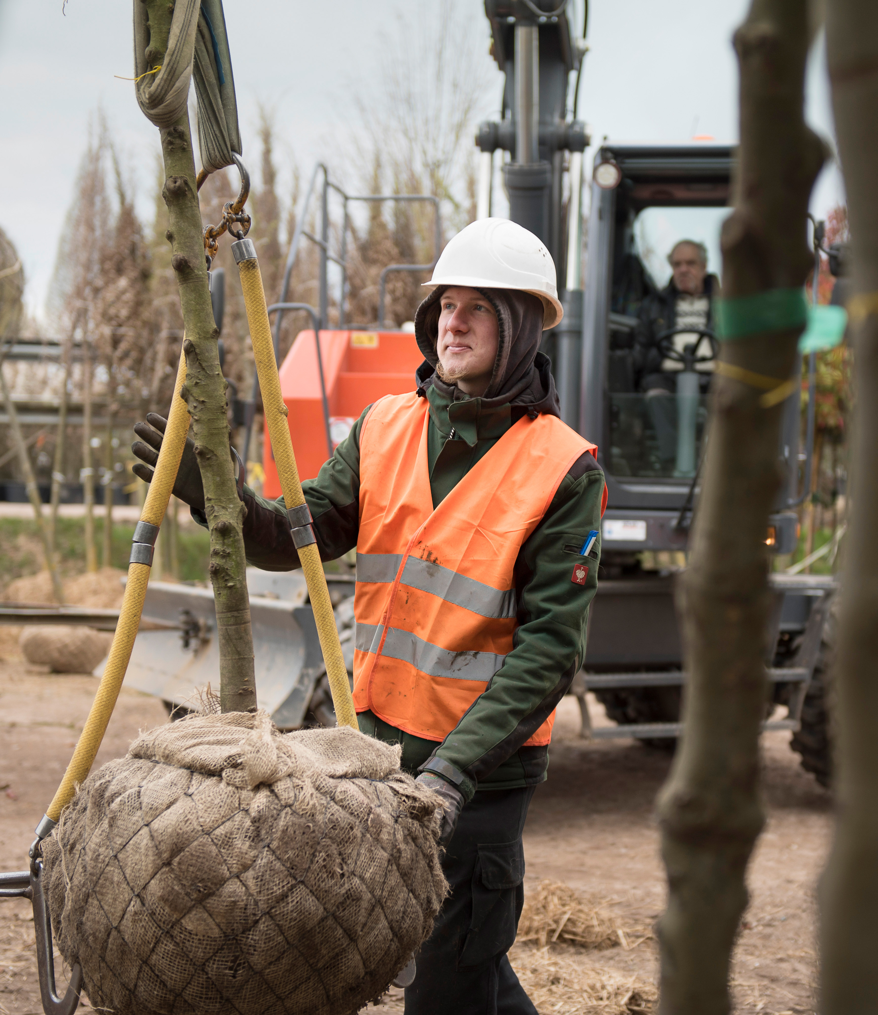 Kollege lascht einen Baum an den Haken