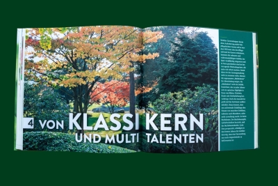 Barockgarten am Schloss Drottningholm in Schweden, umgeben von vierreihigen Kaiser-Linden, die von Lorenz von Ehren gezogen und 2008 geliefert wurden. Heute prägen sie majestätisch die Landschaft.